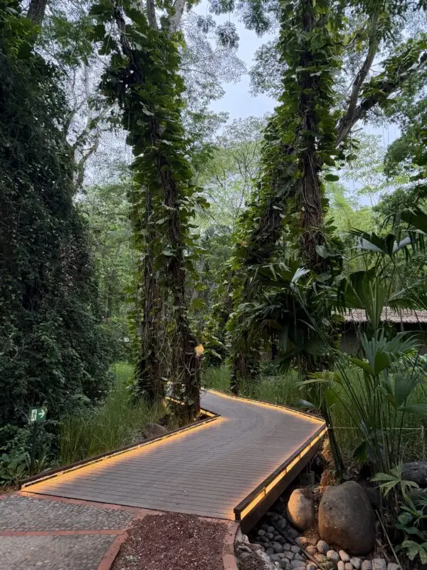 Imagen del reportaje